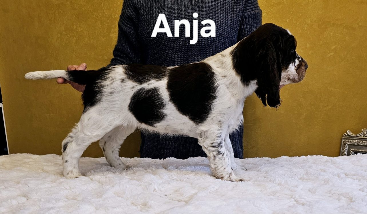 20241221_145220