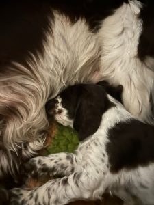 IMG-20241212-WA0098